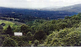 Levering Orchard enjoys a terrific view from the Blue Ridge Mountains.